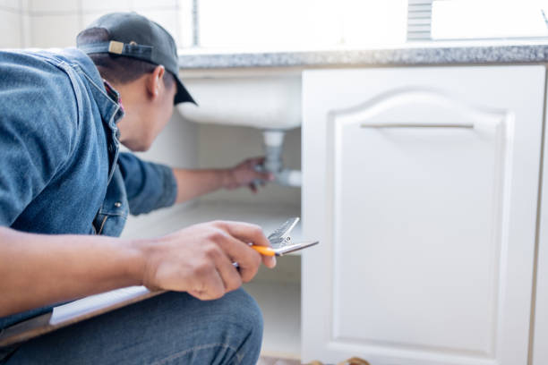 Best Emergency Plumber  in Snowflake, AZ